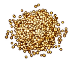 Hemp Seed