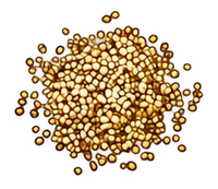 Hemp Seed