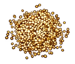 Hemp Seed