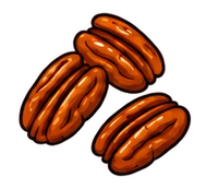 Pecans