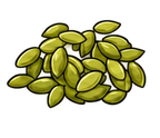 Pumpkin Seeds