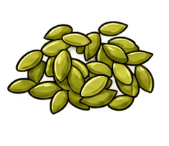 Pumpkin Seeds