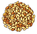Sunflower Seeds