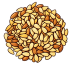 Sunflower Seeds