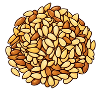 Sunflower Seeds