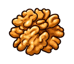 walnuts
